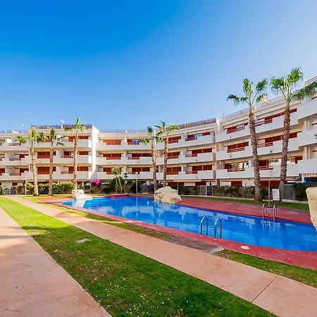 Alegria Id43 托雷维耶哈