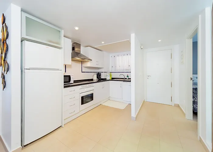 Alegria Id43 托雷维耶哈