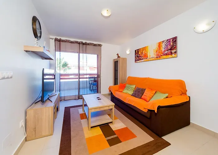 Alegria Id43 公寓 托雷维耶哈